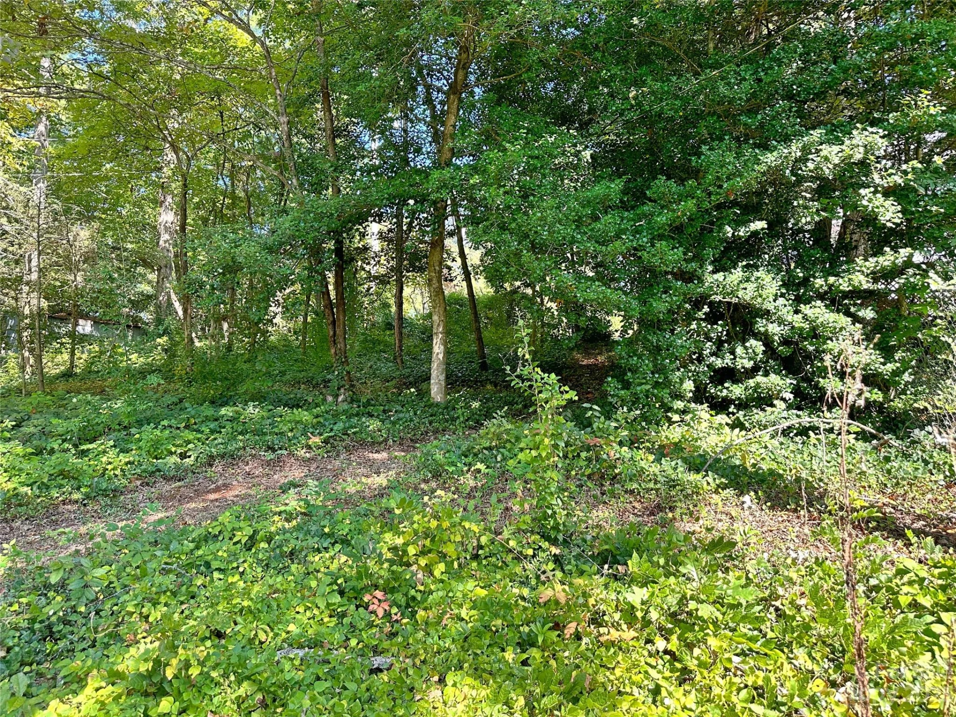 324 Buzzards Roost Road - Photo 7