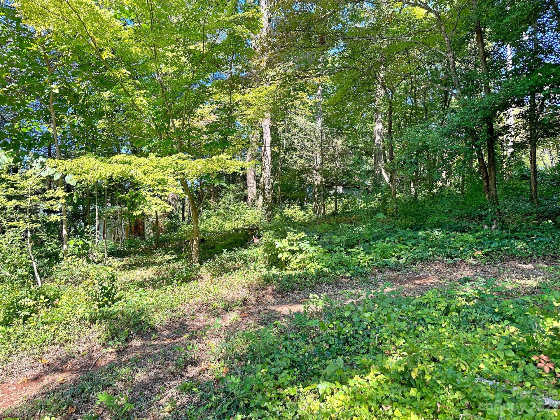 324 Buzzards Roost Road - Photo 8