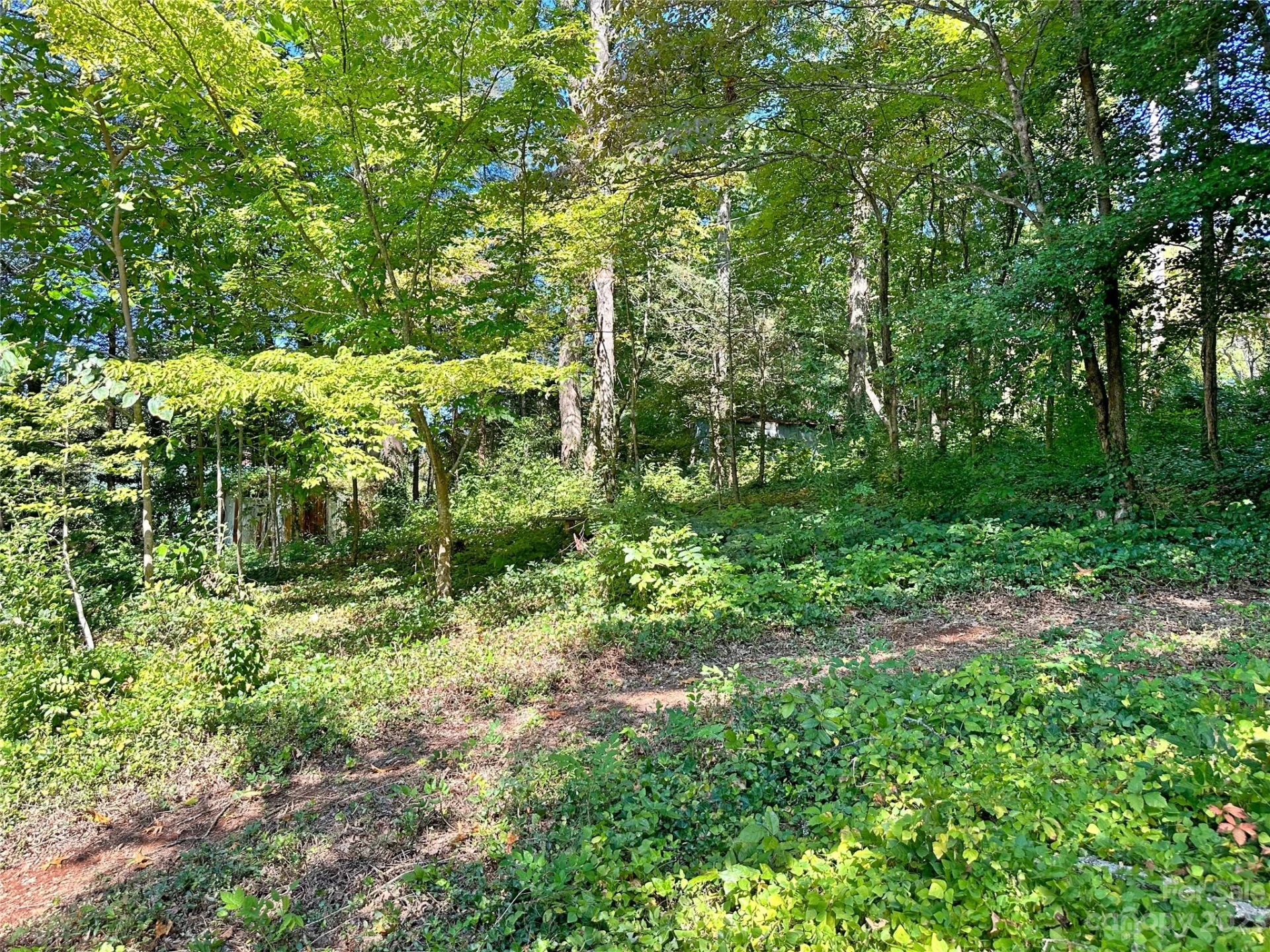 324 Buzzards Roost Road - Photo 8