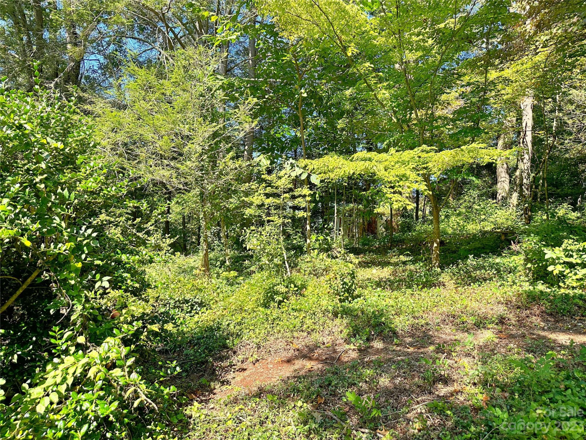 324 Buzzards Roost Road - Photo 9