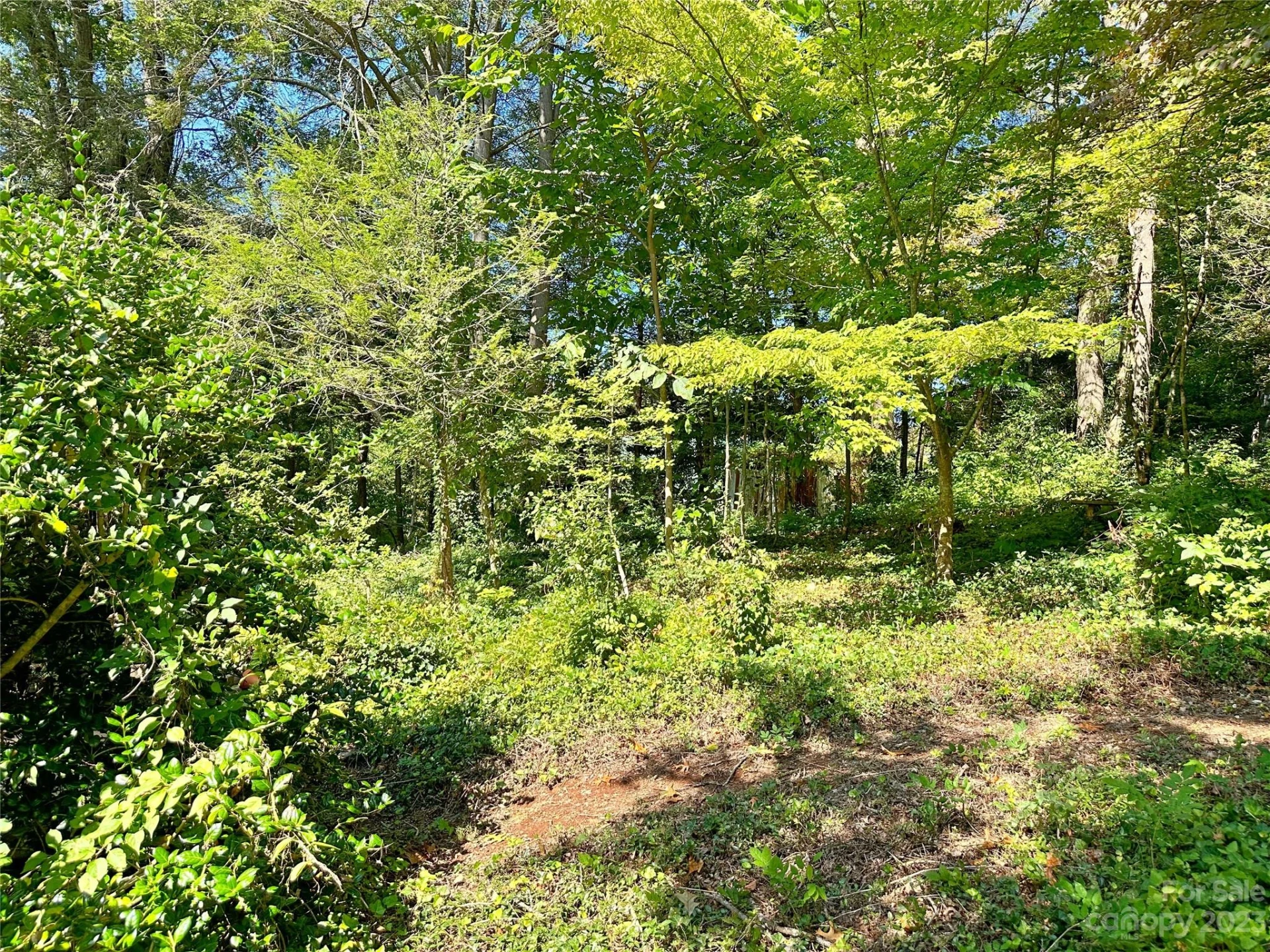 324 Buzzards Roost Road - Photo 9