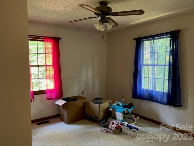 2752 Old Highway 221 None - Photo 13