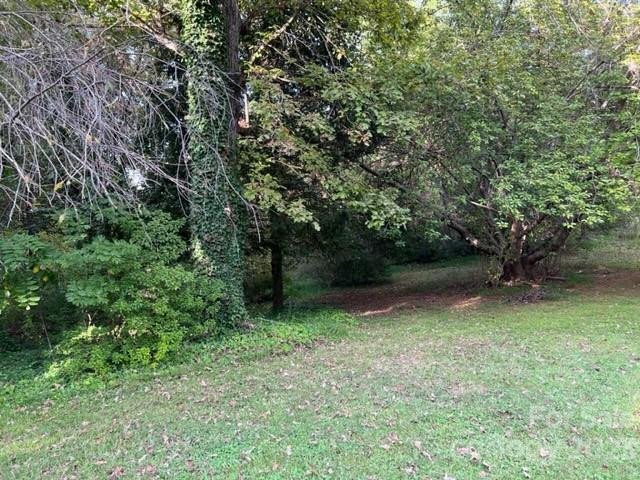 2752 Old Highway 221 None - Photo 44