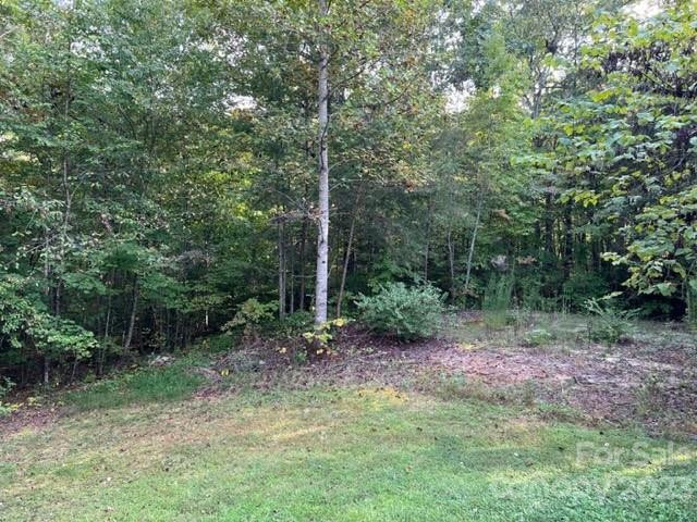 2752 Old Highway 221 None - Photo 46