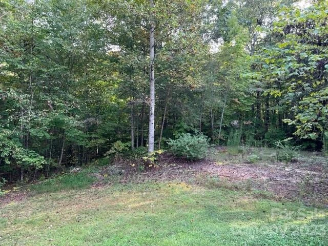 2752 Old Highway 221 None - Photo 46