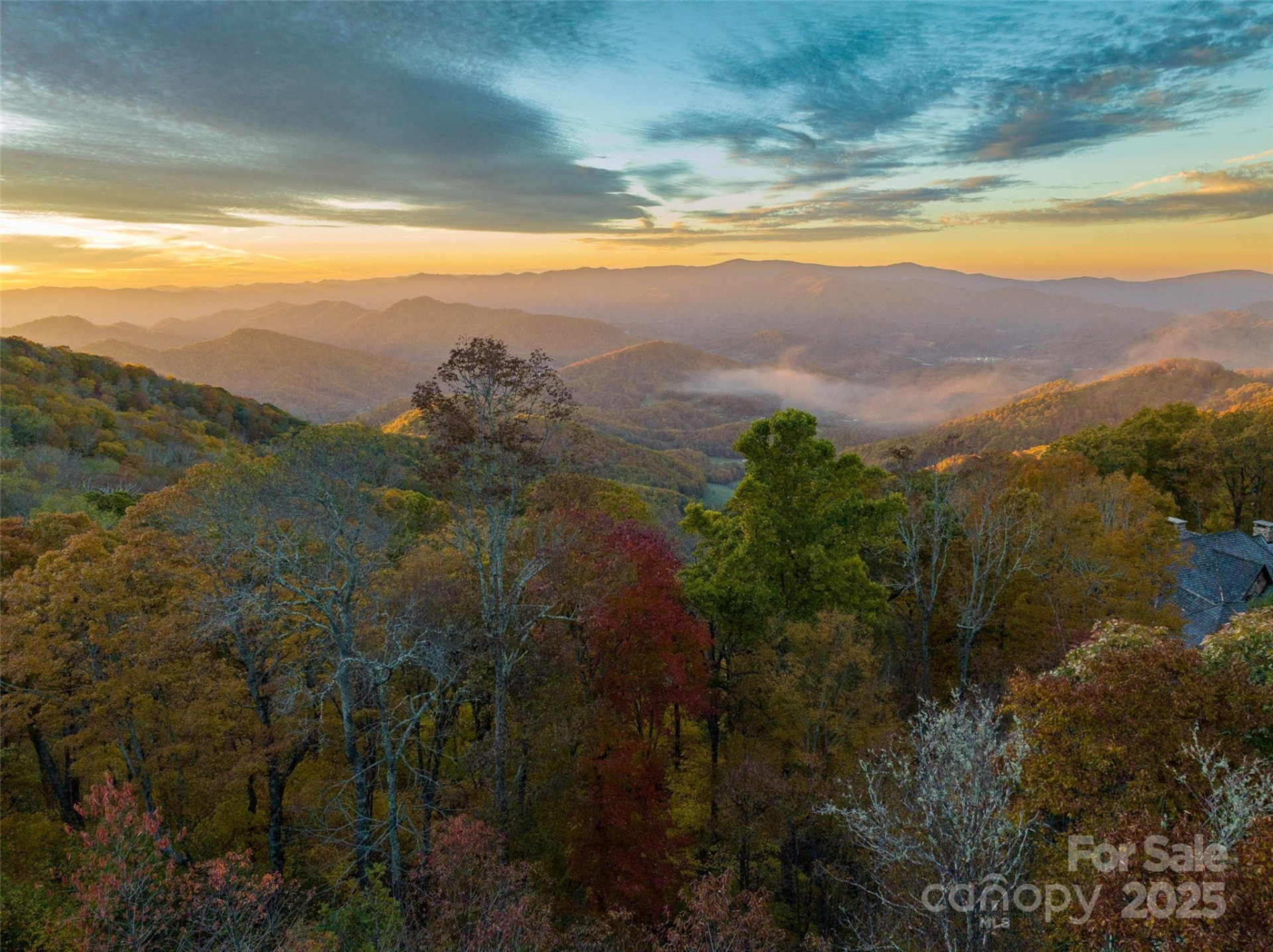 616 Old Growth Forest Road - Photo 2