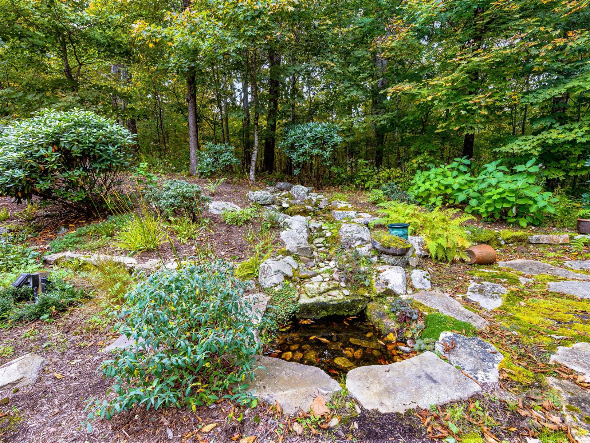 616 Old Growth Forest Road - Photo 13