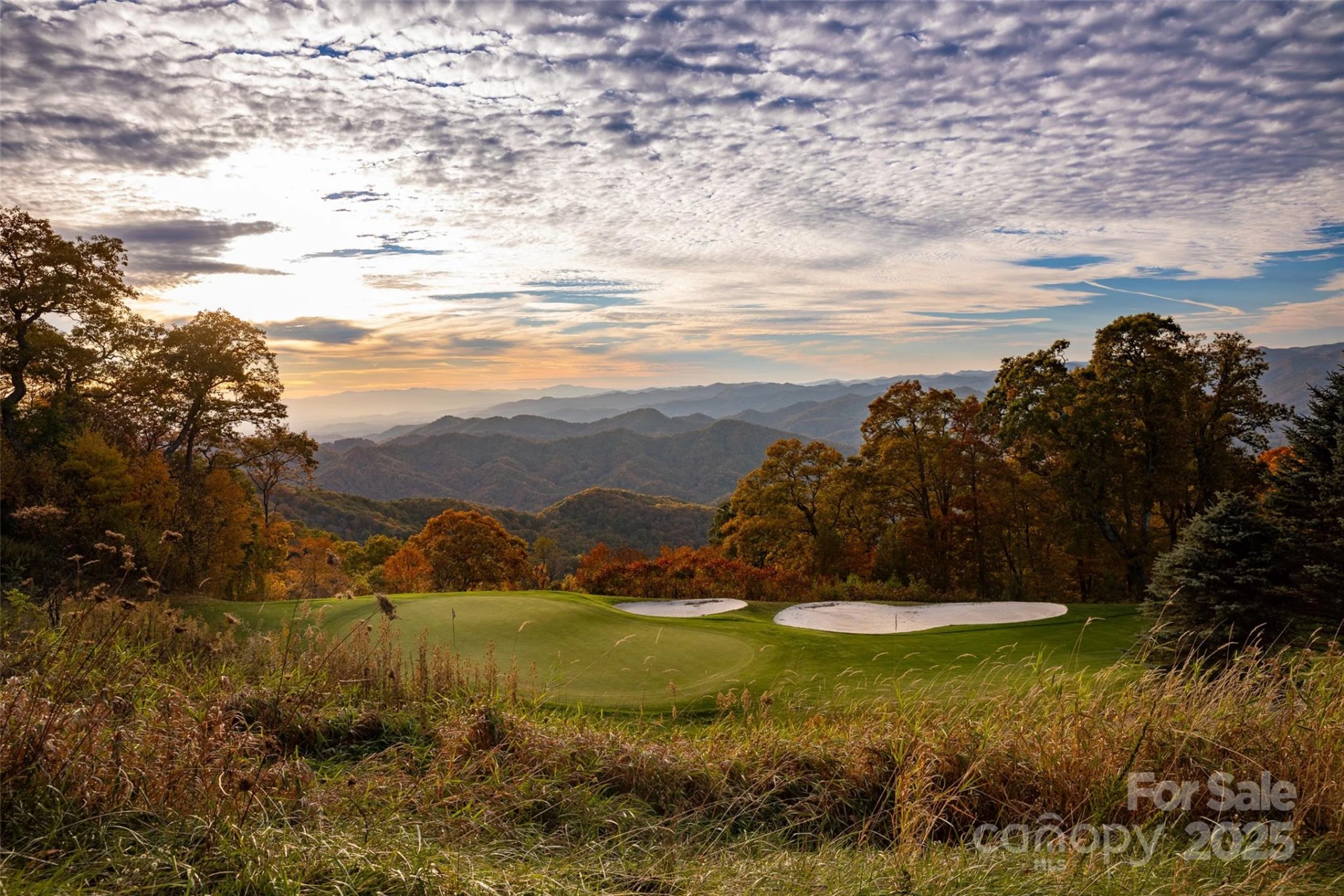 616 Old Growth Forest Road - Photo 43