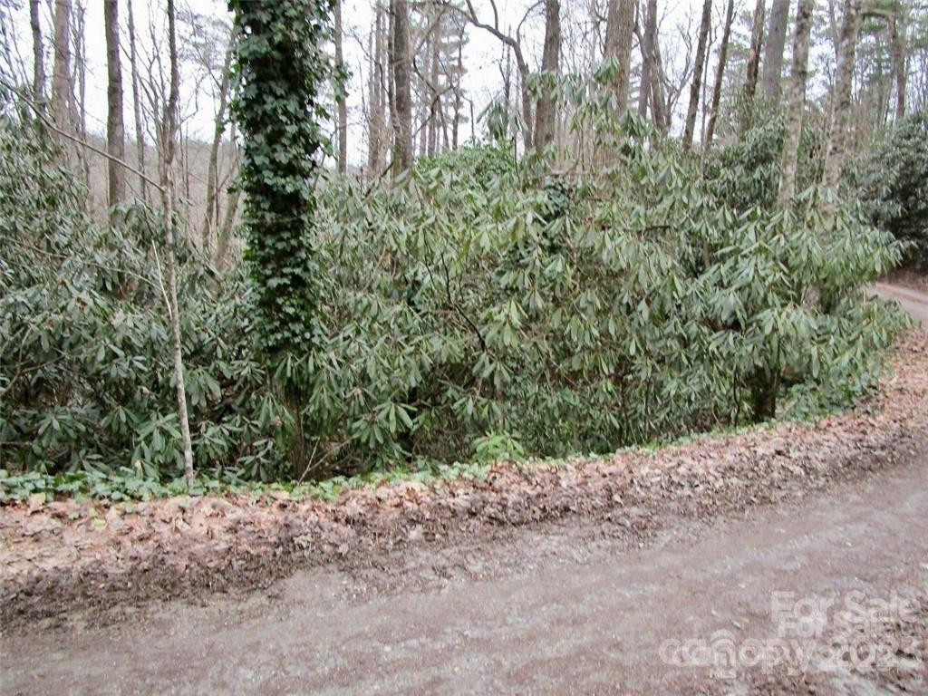 Lot #21 Toxaway Falls Drive