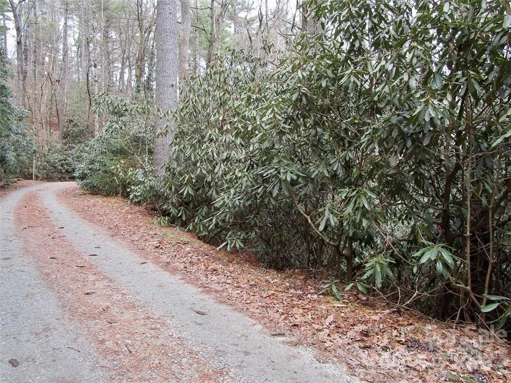 Lot #21 Toxaway Falls Drive - Photo 2