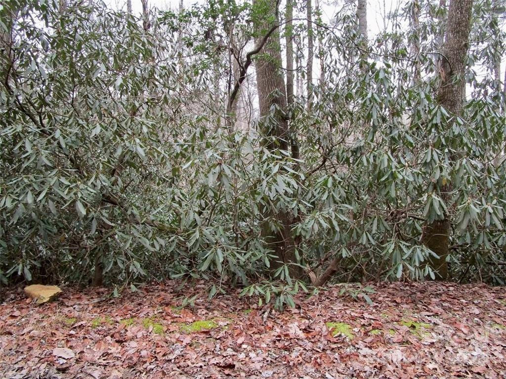 Lot #21 Toxaway Falls Drive - Photo 13
