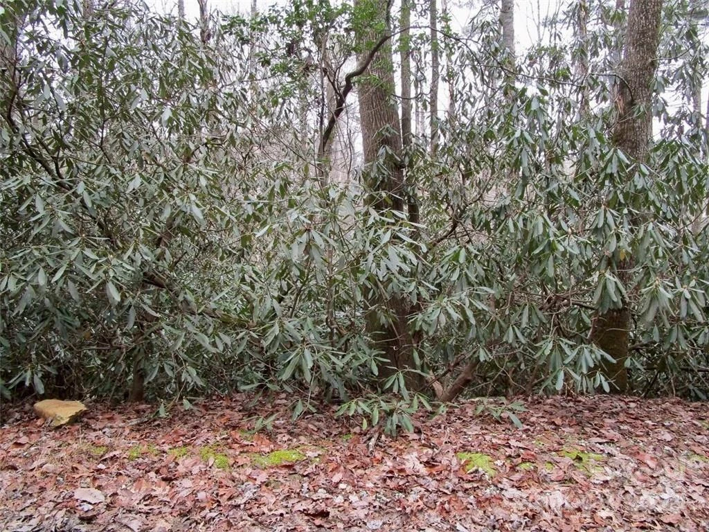 Lot #21 Toxaway Falls Drive - Photo 13