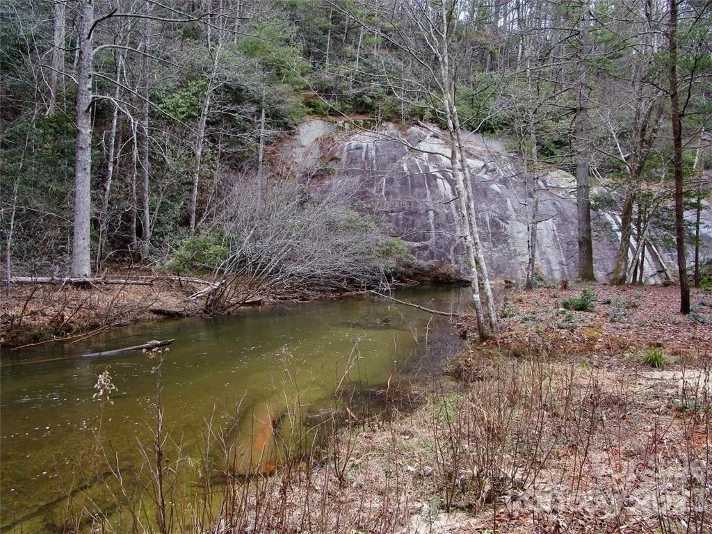 Lot #21 Toxaway Falls Drive - Photo 22