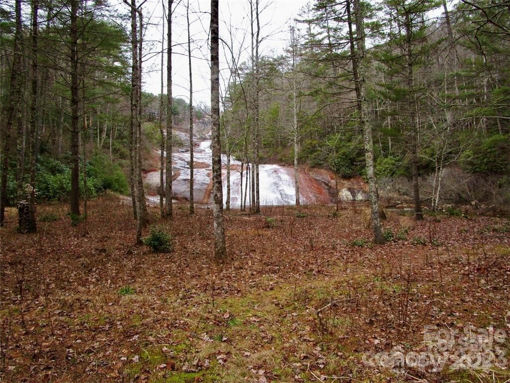 Lot #21 Toxaway Falls Drive - Photo 24