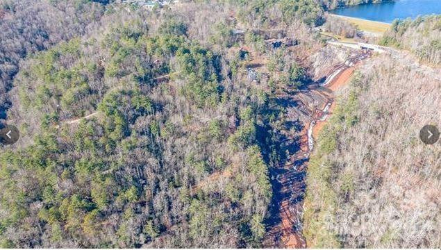 Lot #21 Toxaway Falls Drive - Photo 10