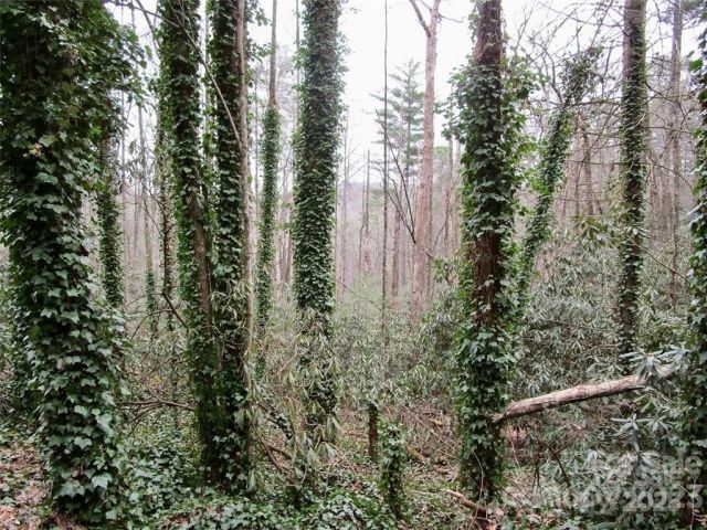 Lot #22 Toxaway Falls Drive, Lake Toxaway, NC, 28747