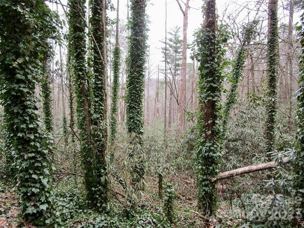 Lot #22 Toxaway Falls Drive