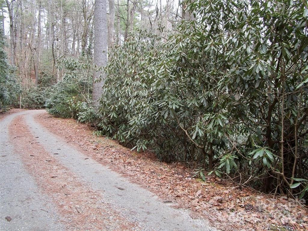 Lot #22 Toxaway Falls Drive - Photo 2