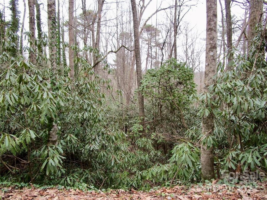 Lot #22 Toxaway Falls Drive - Photo 11