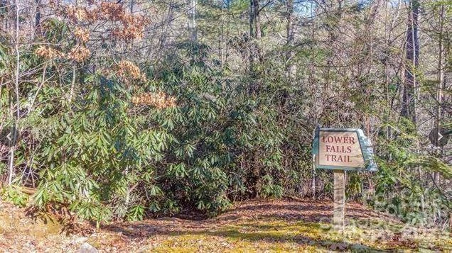 Lot #22 Toxaway Falls Drive - Photo 14