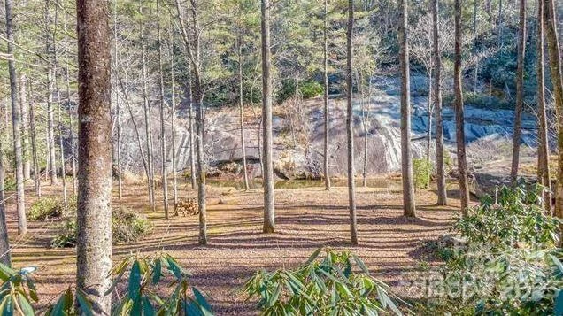 Lot #22 Toxaway Falls Drive - Photo 15