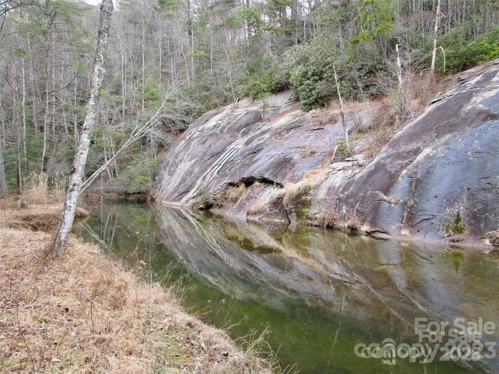 Lot #22 Toxaway Falls Drive - Photo 18