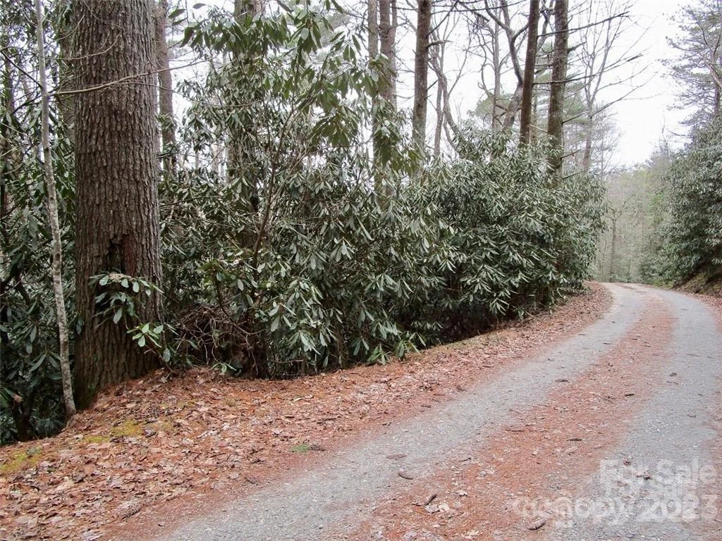 Lot #22 Toxaway Falls Drive - Photo 3