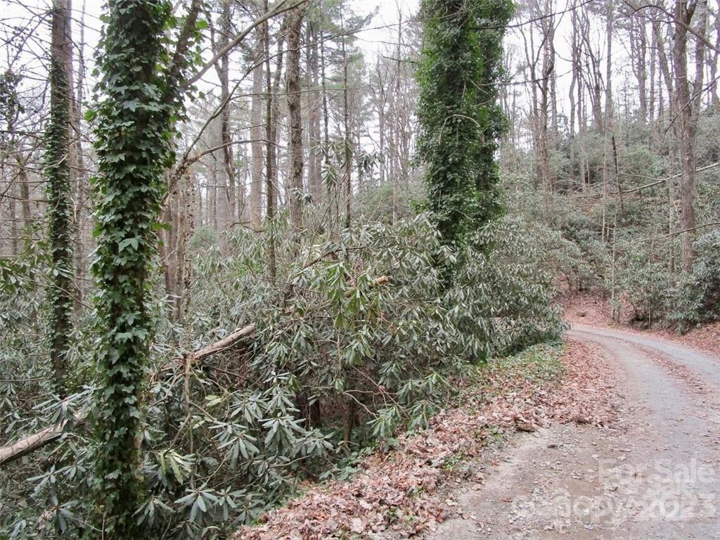 Lot #22 Toxaway Falls Drive - Photo 26
