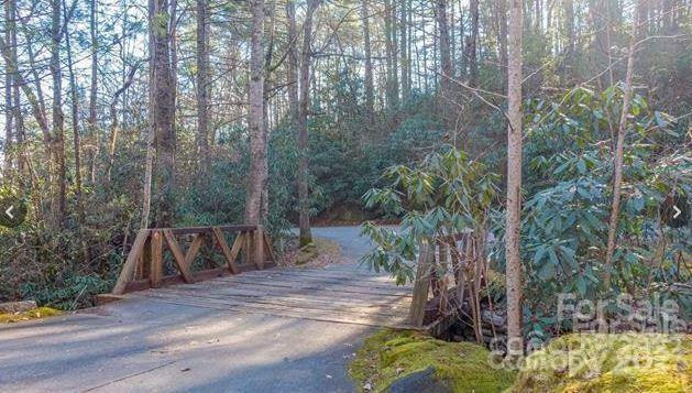 Lot #22 Toxaway Falls Drive - Photo 10