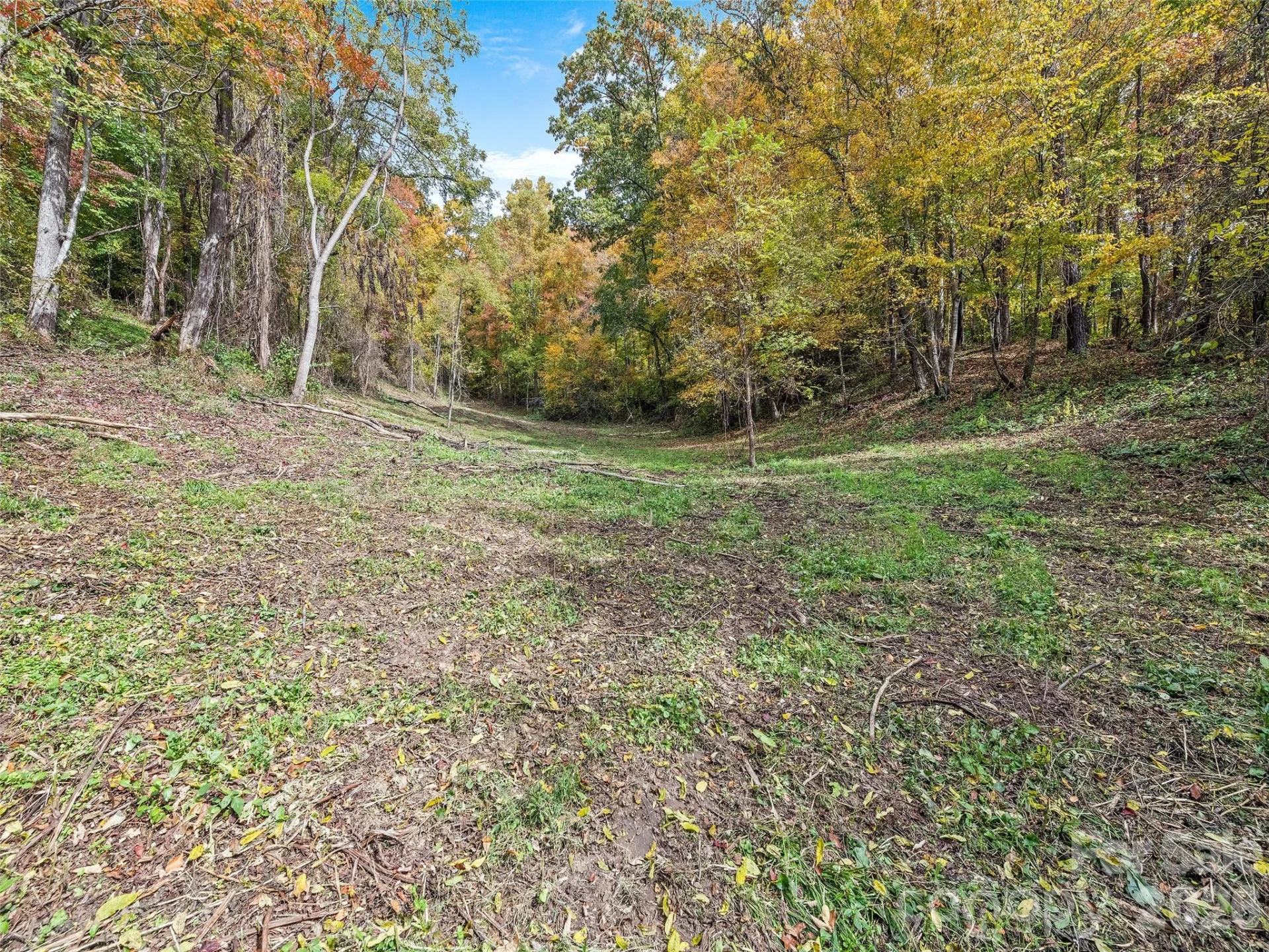 00 Beaverdam Road - Photo 16