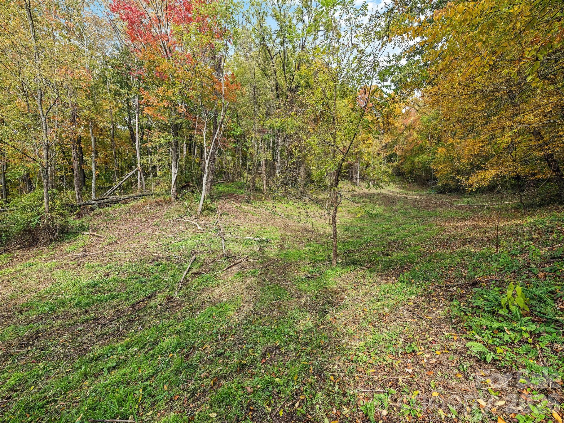 00 Beaverdam Road - Photo 7