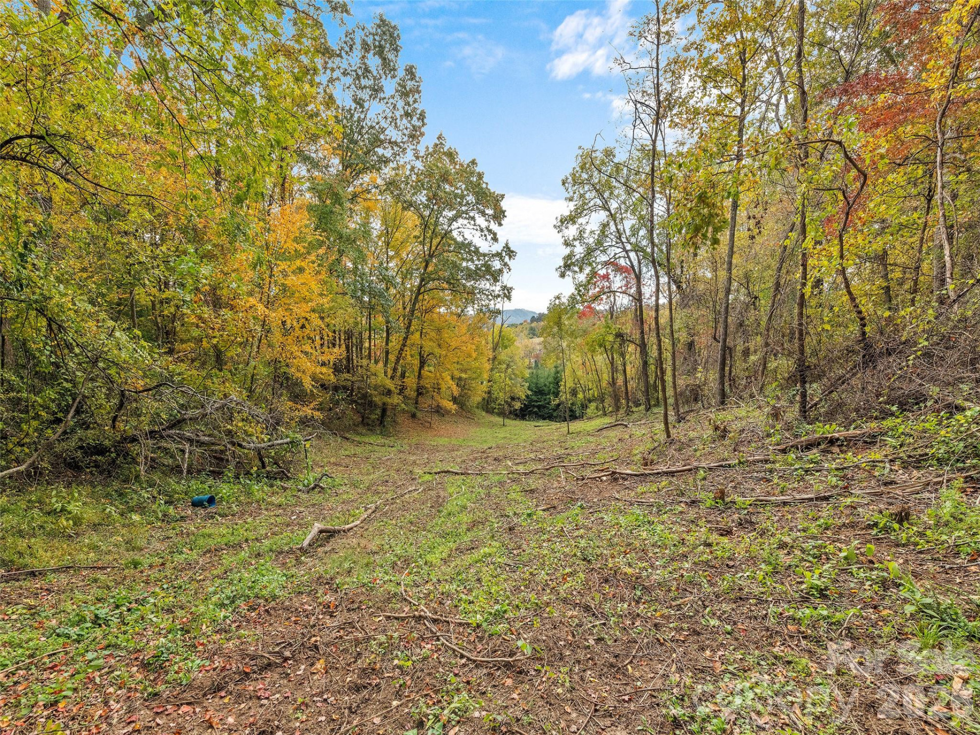 00 Beaverdam Road - Photo 8