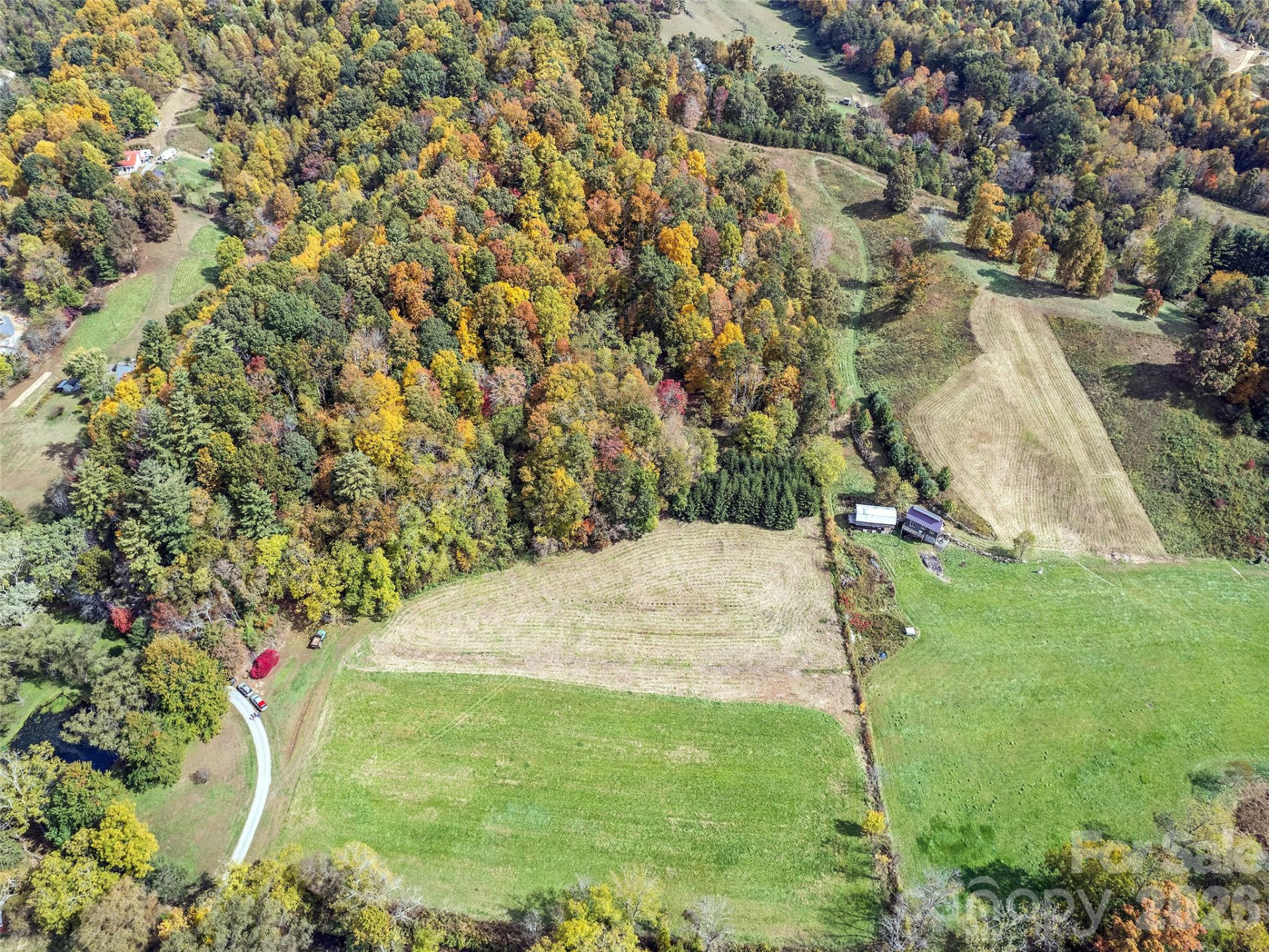 00 Beaverdam Road - Photo 9