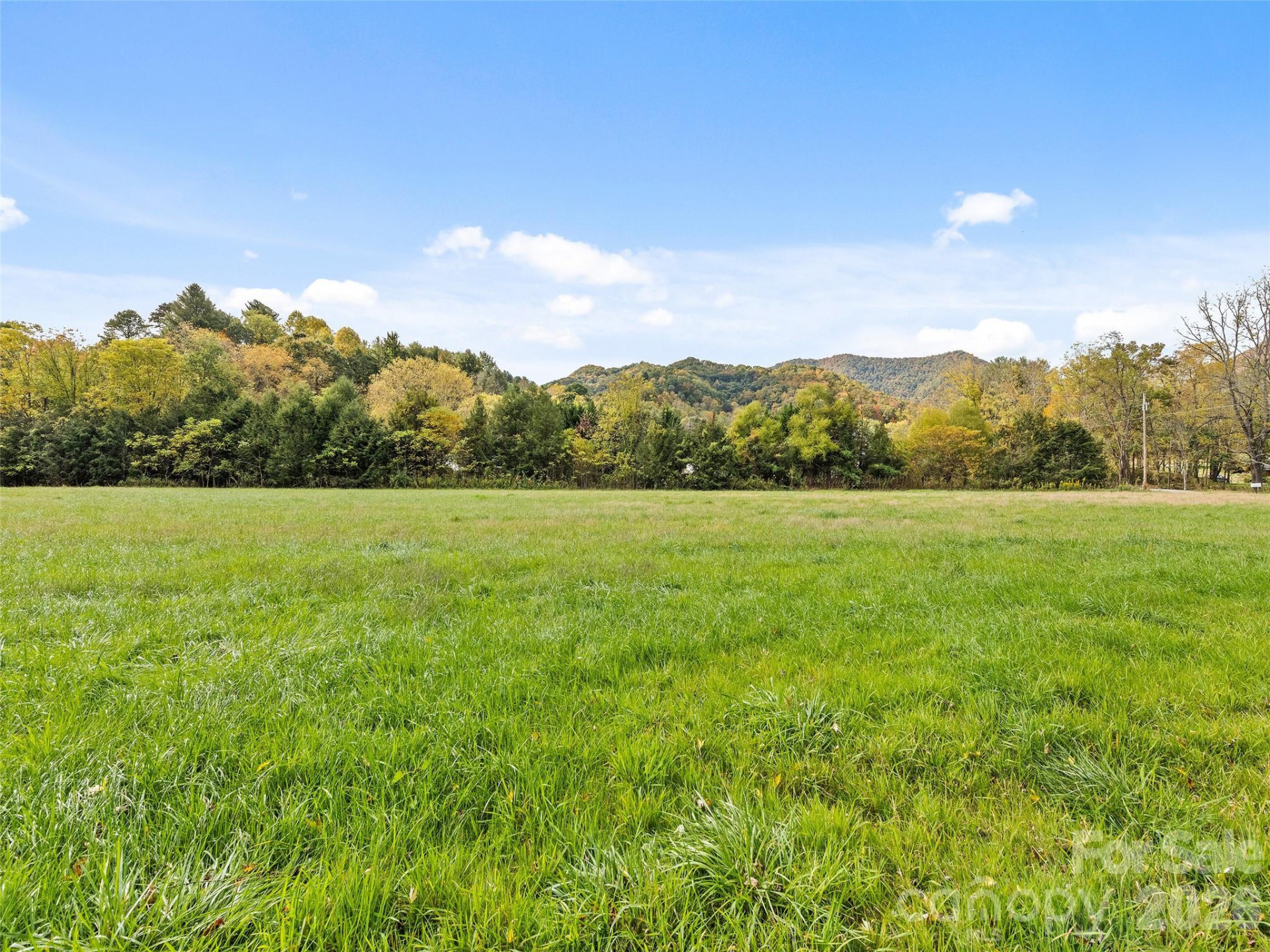 00 Carver Cove Road - Photo 11