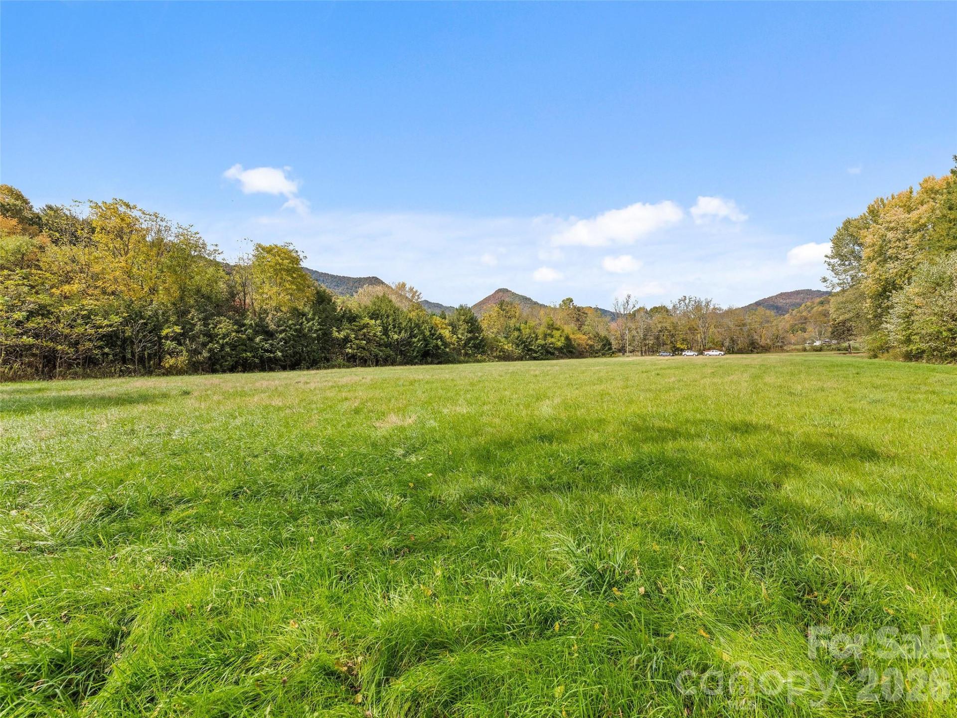 00 Carver Cove Road - Photo 4