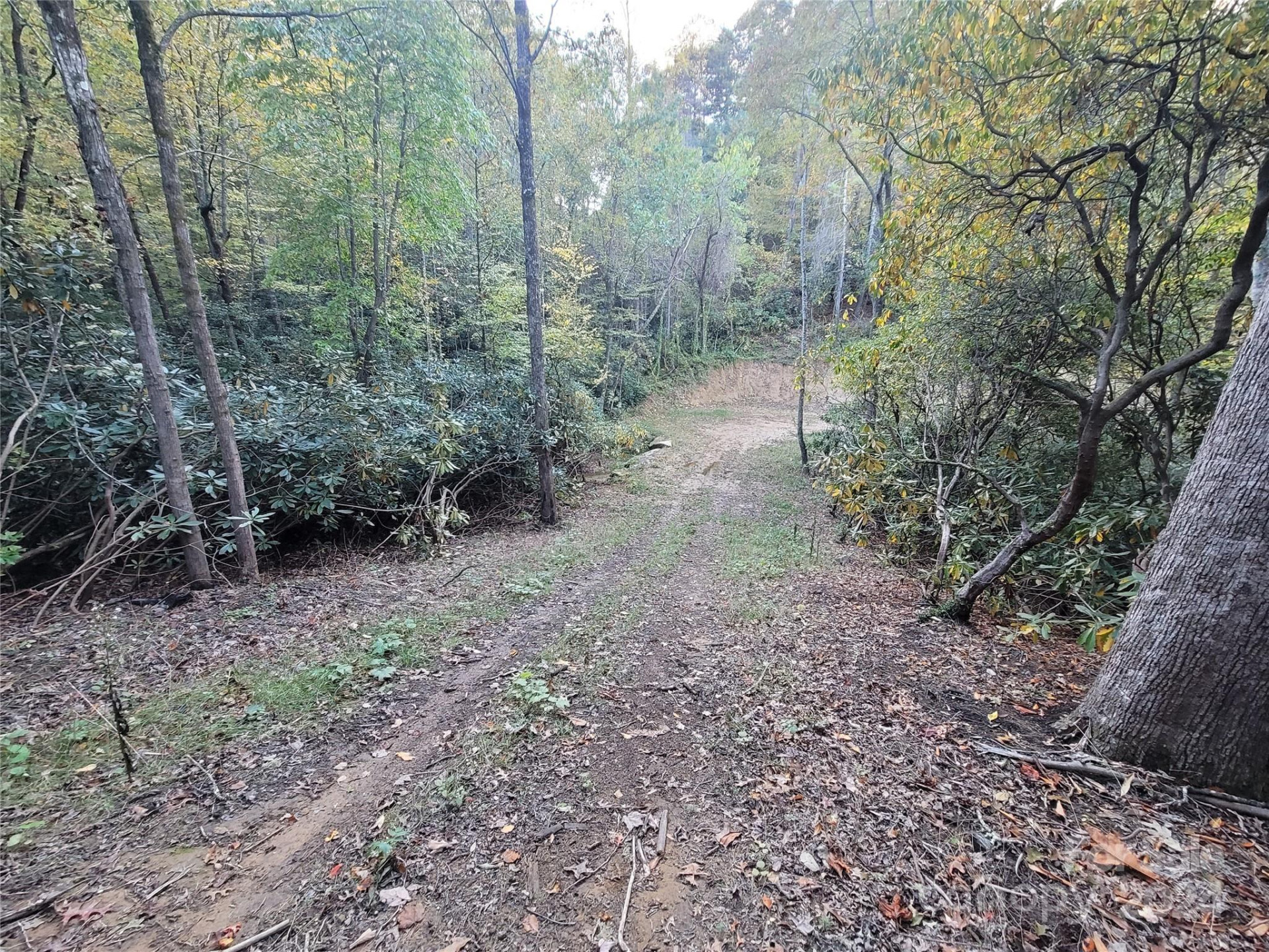 0 Big Hungry Road - Photo 16