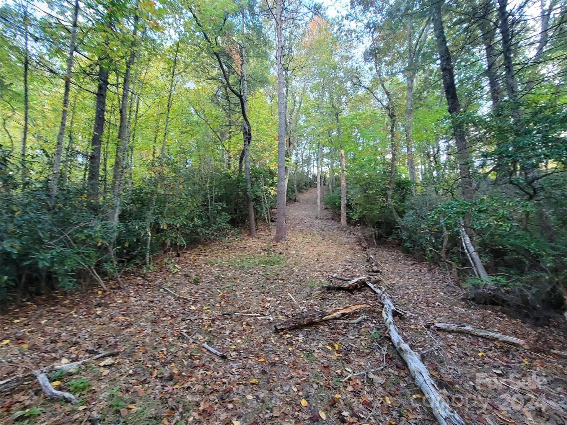 0 Big Hungry Road - Photo 17