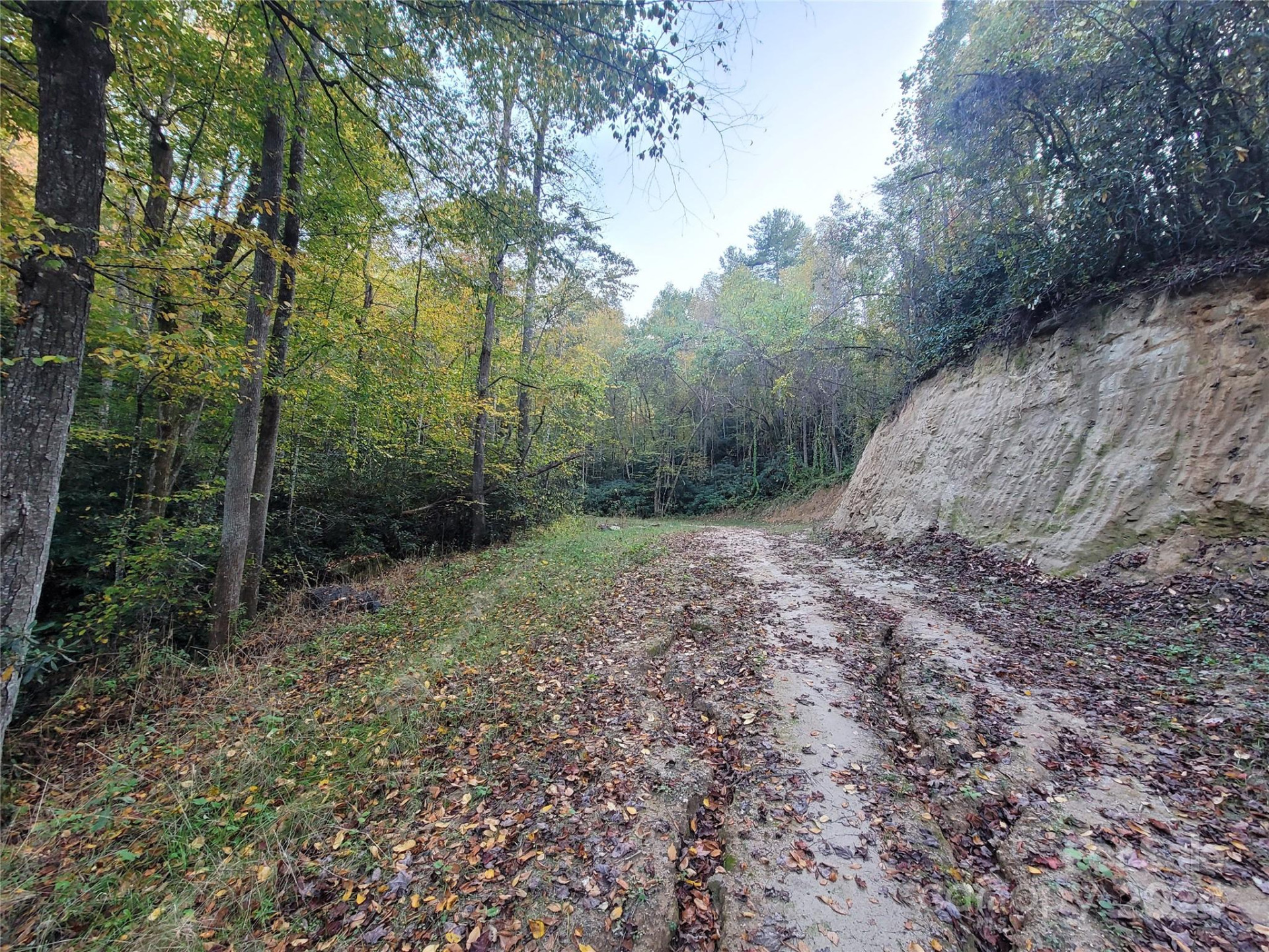 0 Big Hungry Road - Photo 18