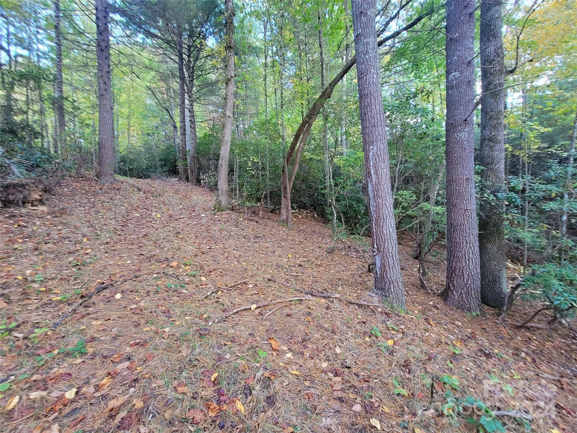 0 Big Hungry Road - Photo 19