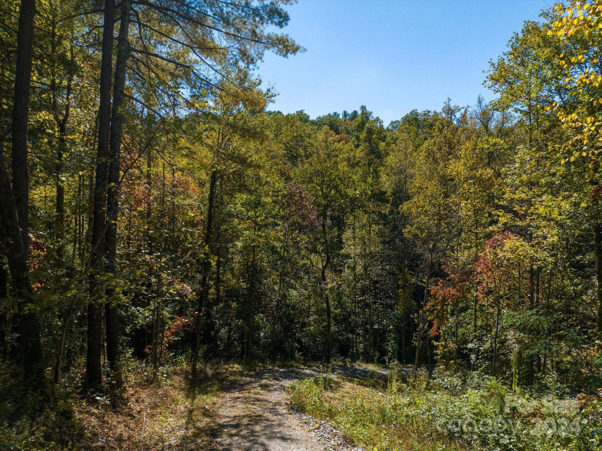 0 Big Hungry Road - Photo 20