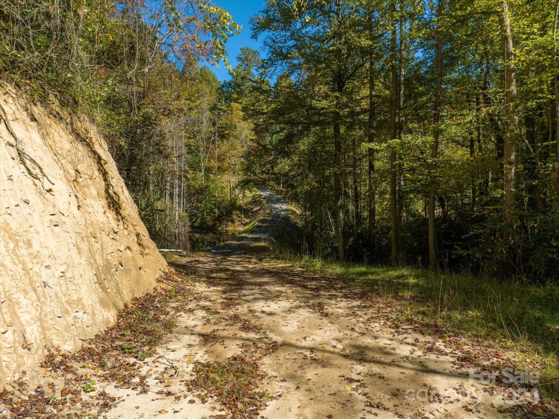 0 Big Hungry Road - Photo 22