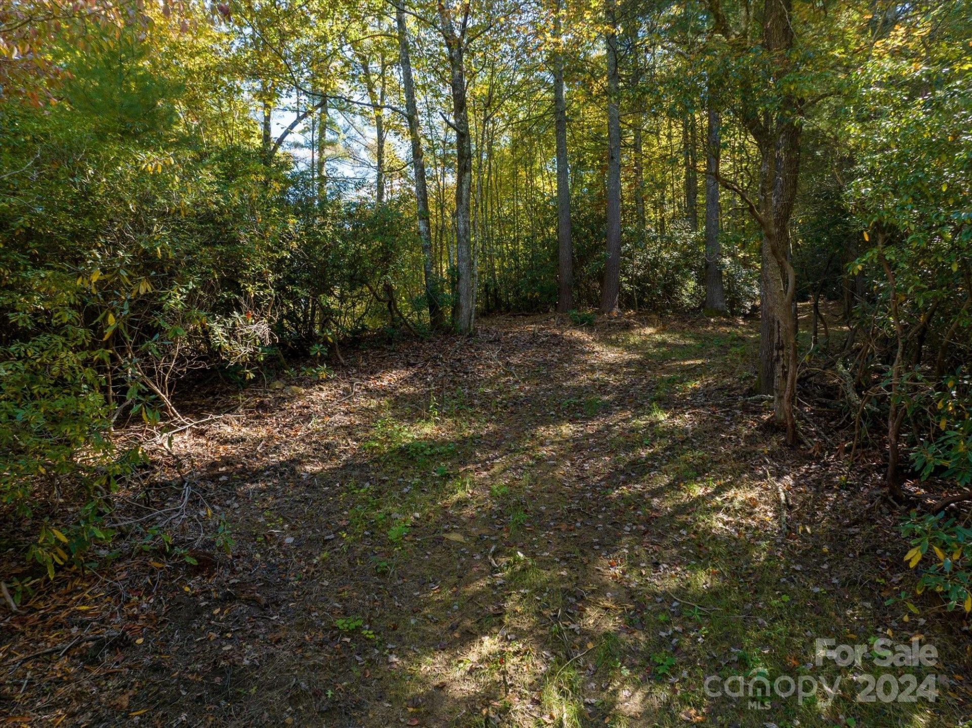 0 Big Hungry Road - Photo 24