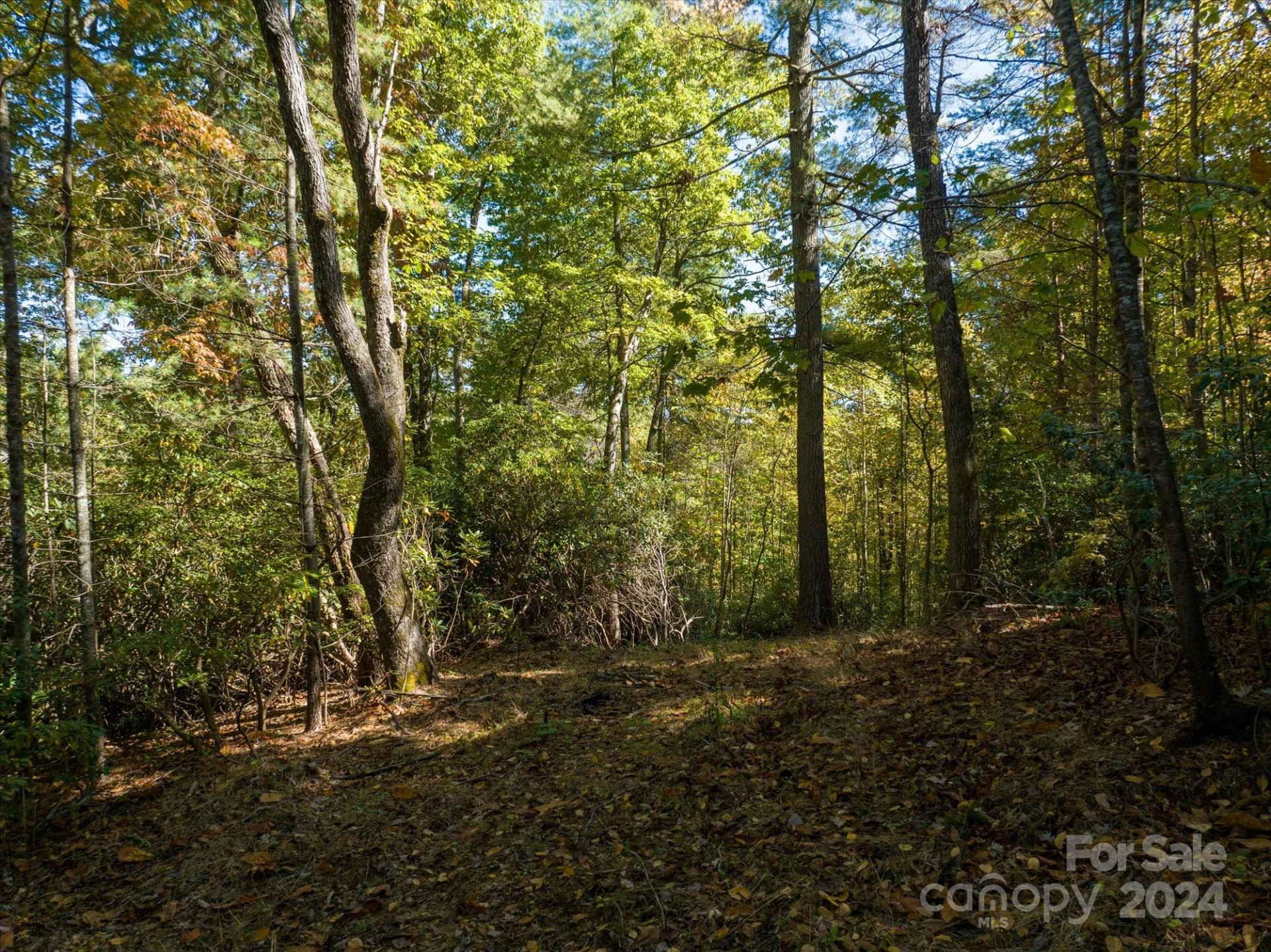 0 Big Hungry Road - Photo 25