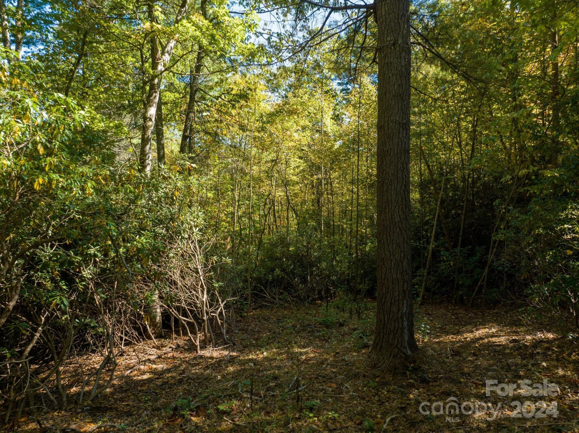 0 Big Hungry Road - Photo 26