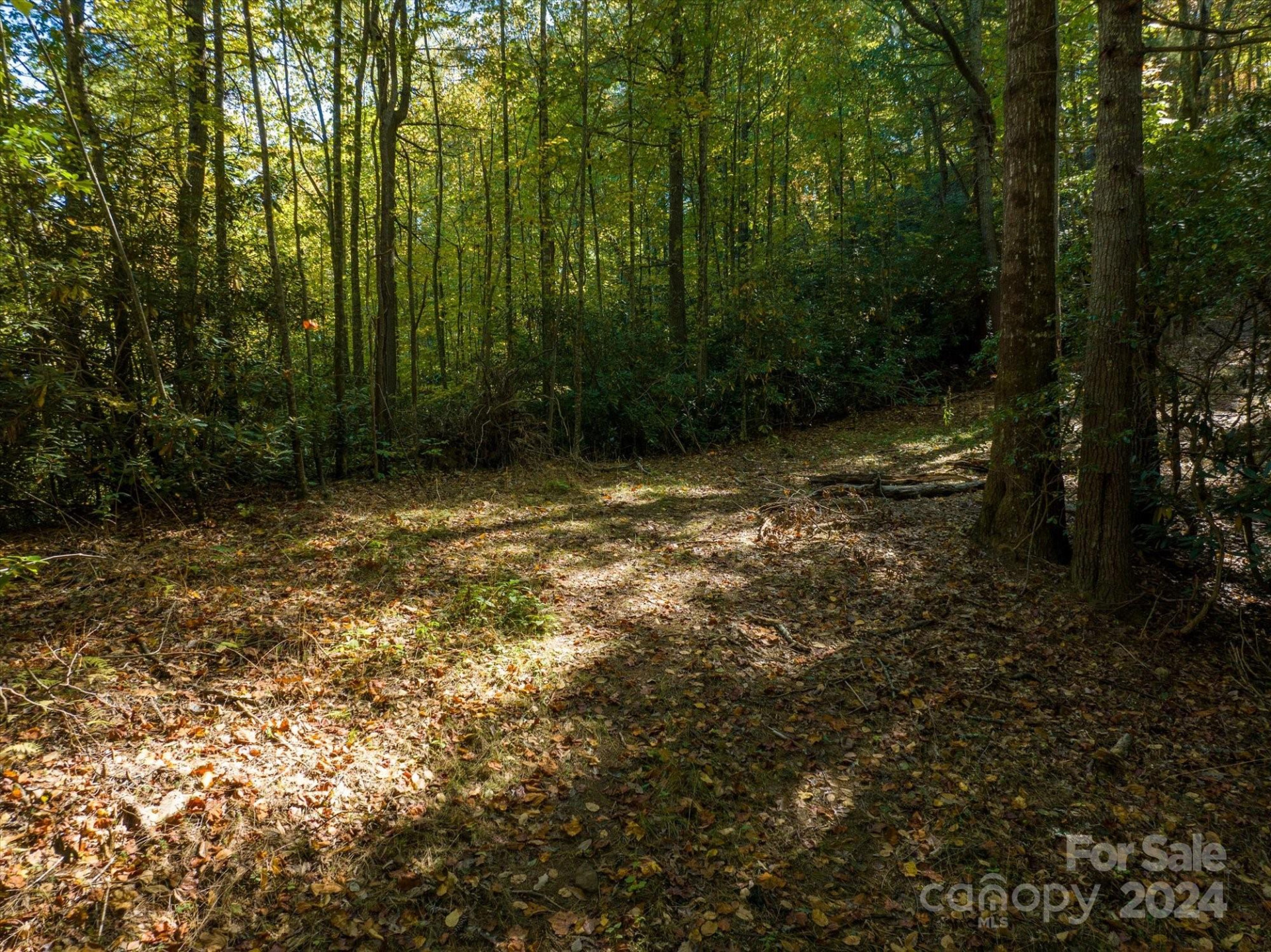 0 Big Hungry Road - Photo 27