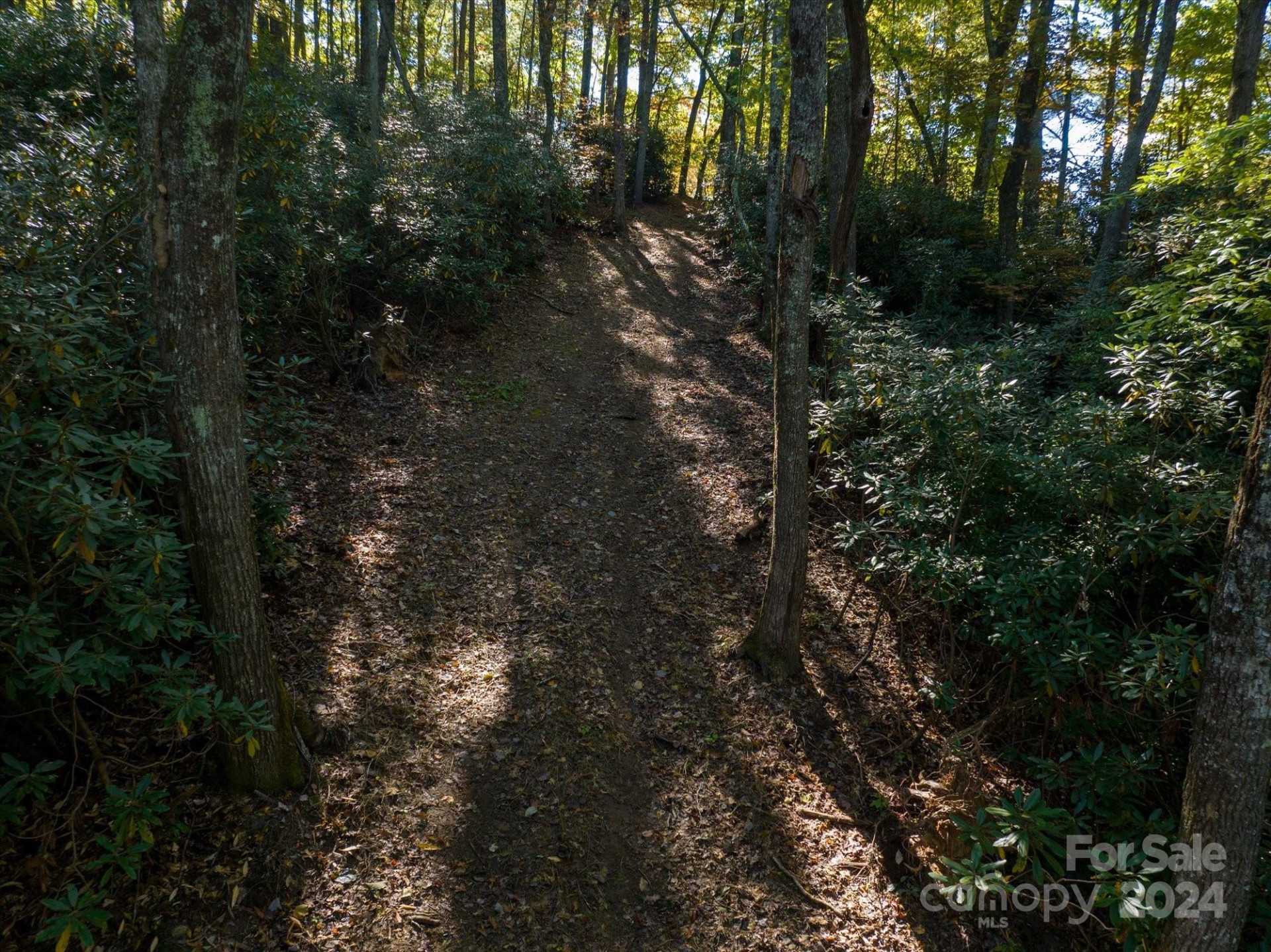 0 Big Hungry Road - Photo 28