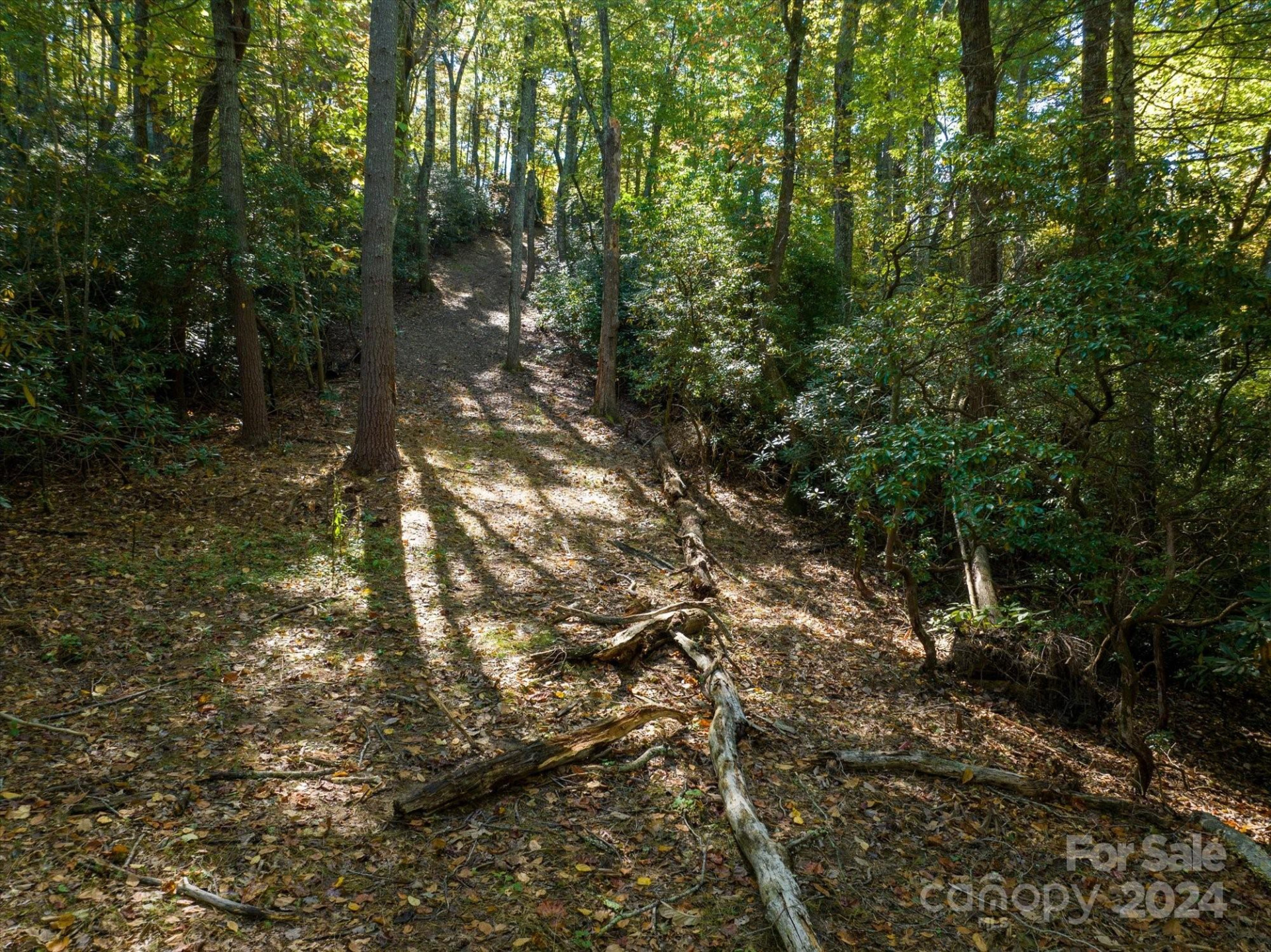 0 Big Hungry Road - Photo 29