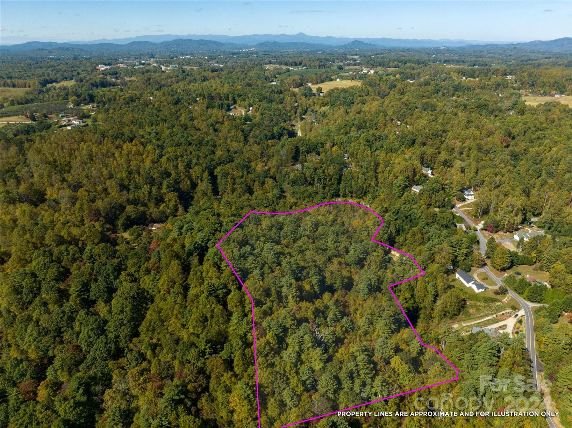 0 Big Hungry Road - Photo 4