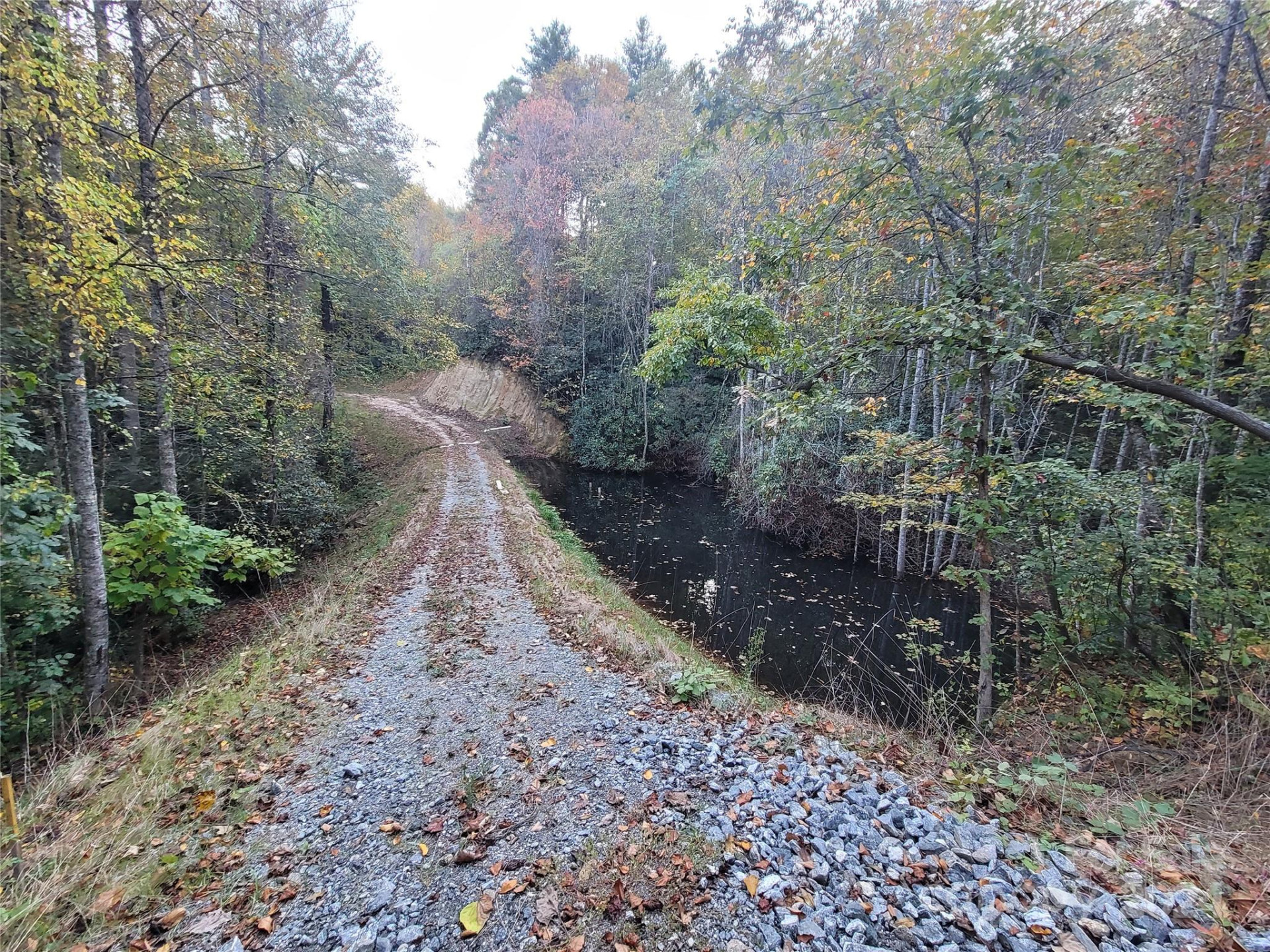 0 Big Hungry Road - Photo 8