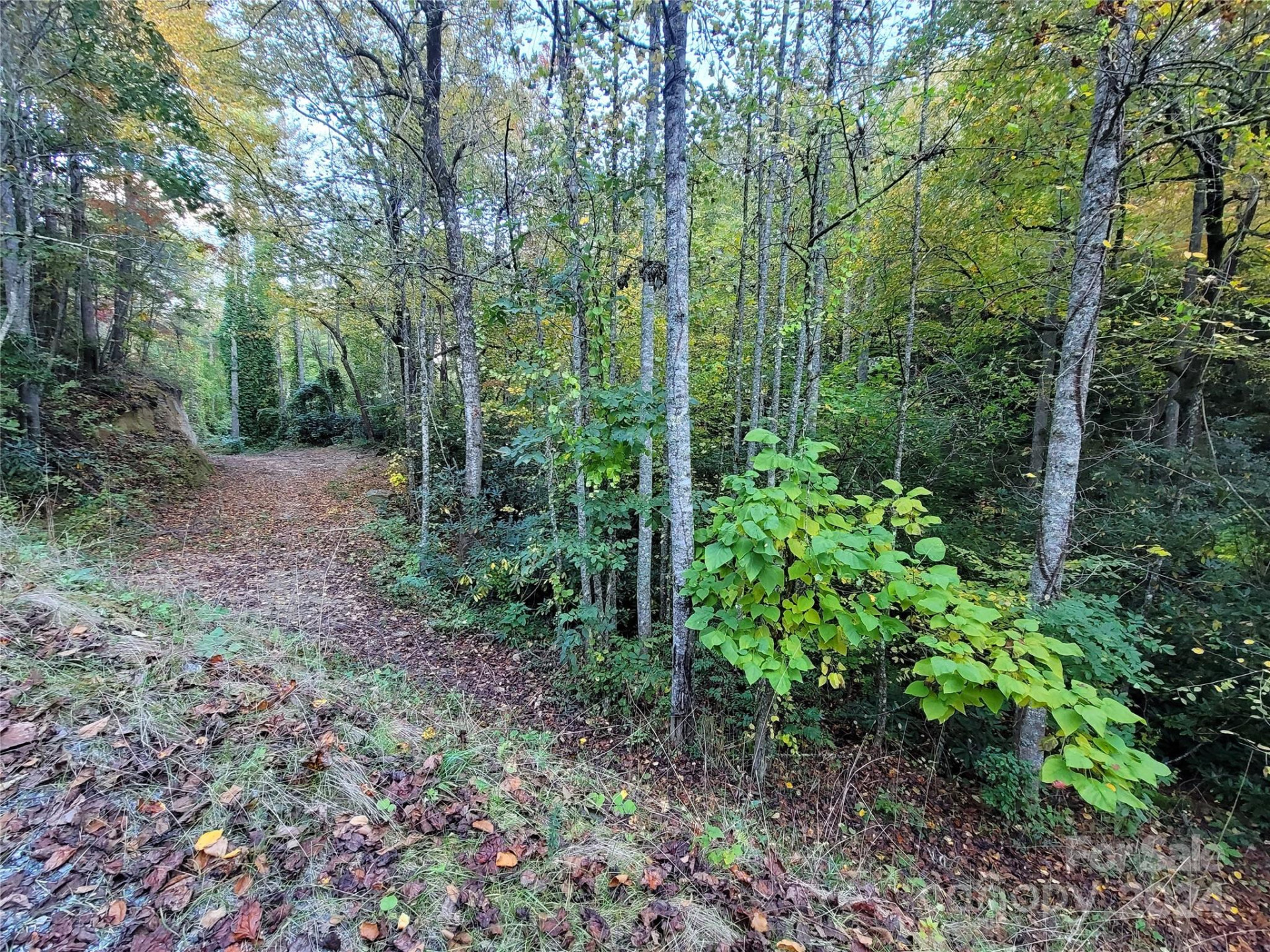 0 Big Hungry Road - Photo 9